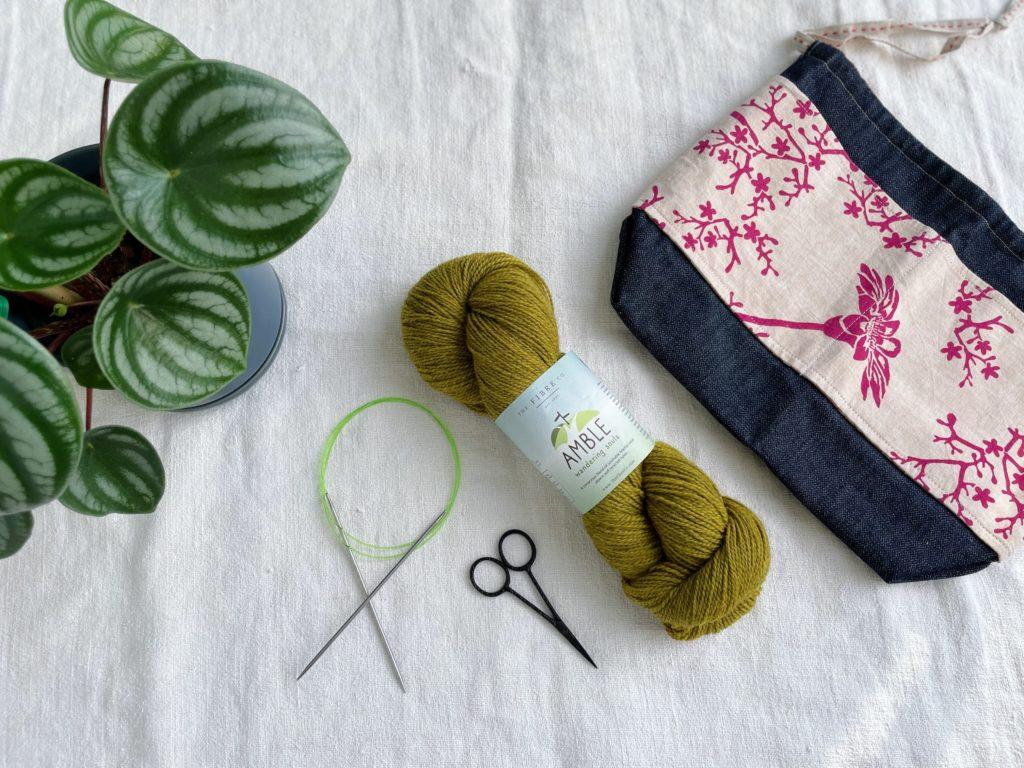 a skein of green yarn on a white linen background. Nearby are a pair of tiny scissor and circular knitting needless, a small project bag with hot pink flowers and birds, and a house plant with broad striped leaves.