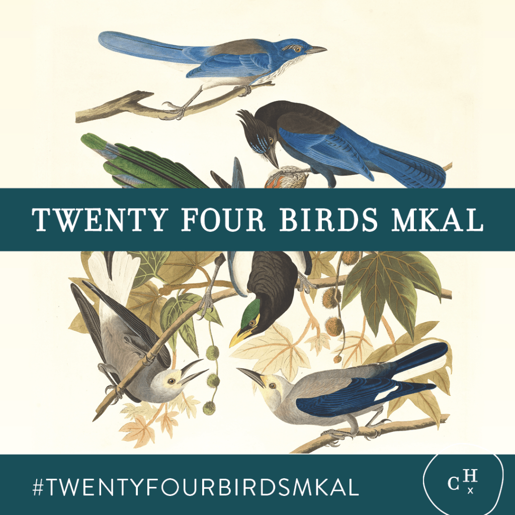 a background of illustrated birds with banners reading Twenty Four Birds MKAL and #twentyfourbirdsmkal